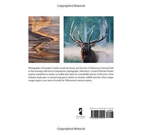 Yellowstone: A Land of Wild and Wonder- Hardcover Book