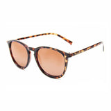 Flap Jack | Frosted Tortoise | Polarized