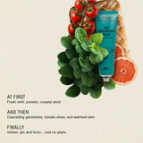 The Deodorant Balm SC.04 (Mint • Pomelo • Tomato Vine)