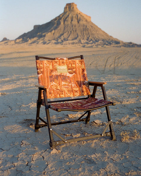 Parks Project Saguaro Cacti Fold Up Camp Chair
