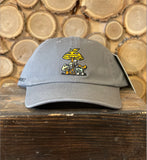National Parks Fungi Patch Hat by Parks Project