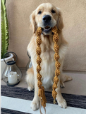 Macrame Dog Leash by Macramama