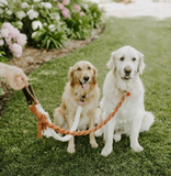 Macrame Dog Leash by Macramama