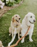 Macrame Dog Leash by Macramama