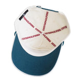 Wipeout Snapback Hat