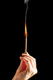 Palo Santo Resin Incense - 10 count