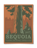 Sequoia National Park - 12x16 Poster