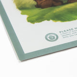 Redwood National Park - 12x16 Poster