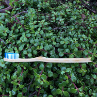 Bamboo Toothbrush (2-pack)
