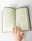 How to Eat in the Woods A Complete Guide to Foraging Trapping Fishing & Finding Sustenance in the Wild